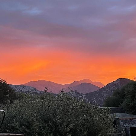 Apartmán Casa Toloi Dorgali Exteriér fotografie