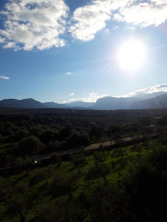 Apartmán Casa Toloi Dorgali Exteriér fotografie