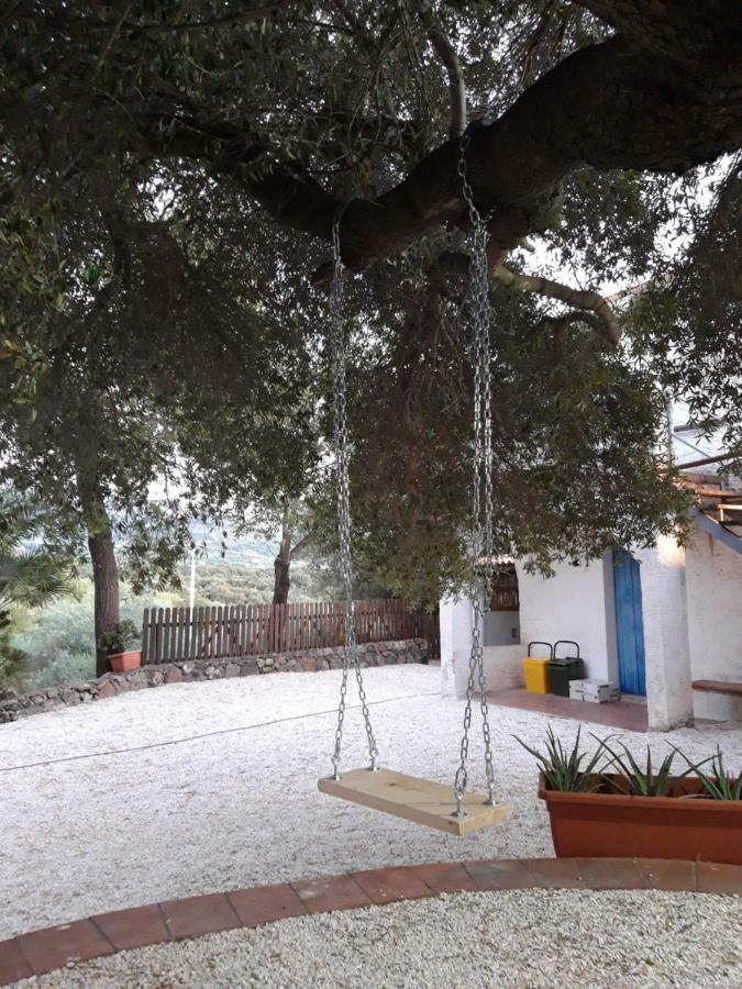 Apartmán Casa Toloi Dorgali Exteriér fotografie